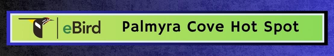 ebird pal cove hot spot-3